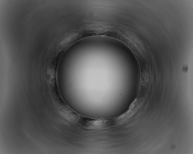 X0000100870184200806201250