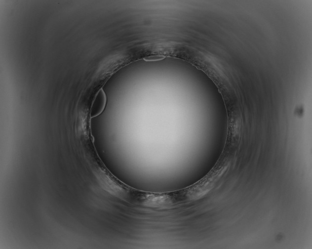 X0000100870185200806201250