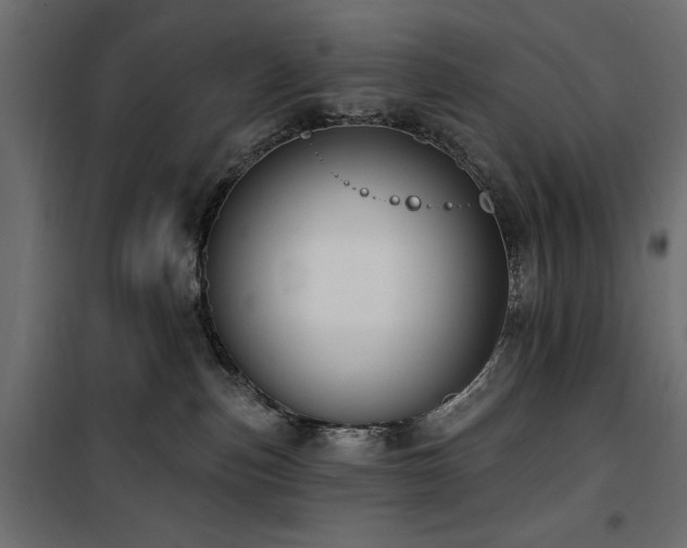 X0000100870187200806201250