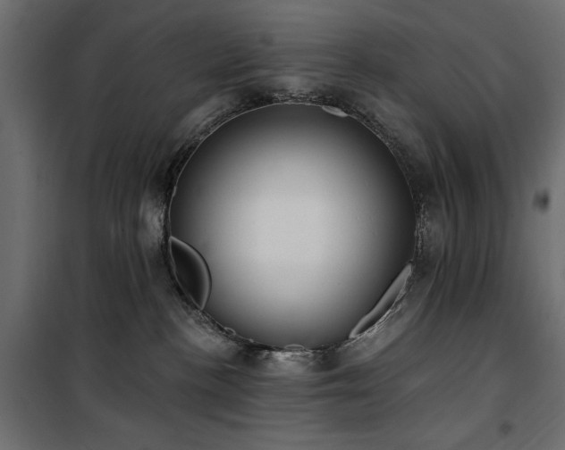 X0000100870188200806201250