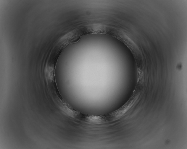 X0000100870189200806201250