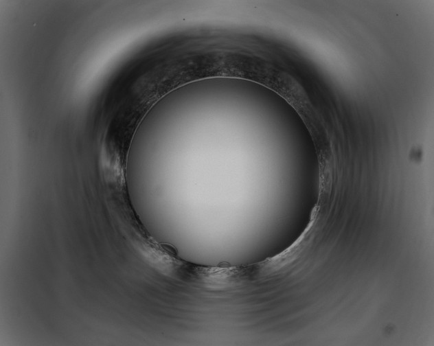 X0000100870191200806201250