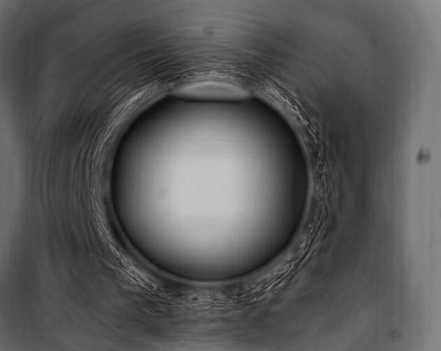 X0000100870193200806201249