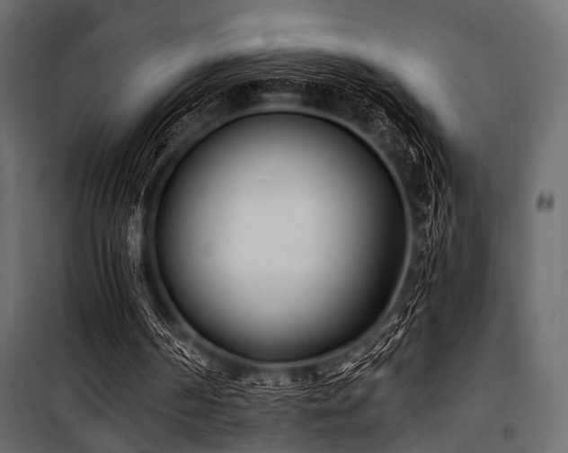 X0000100870194200806201249