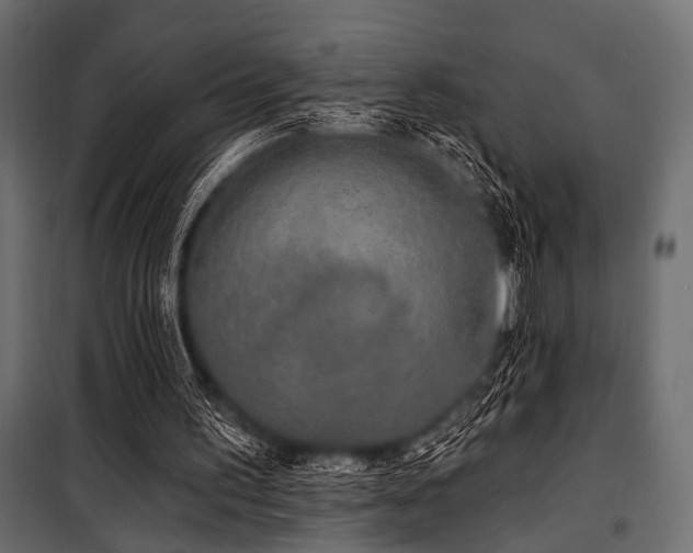 X0000100870195200806201249