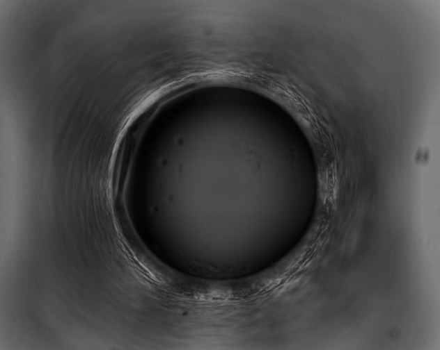 X0000100870196200806201249