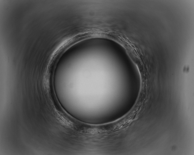 X0000100870197200806201249