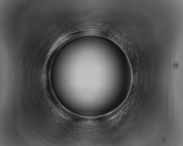 X0000100870198200806201249