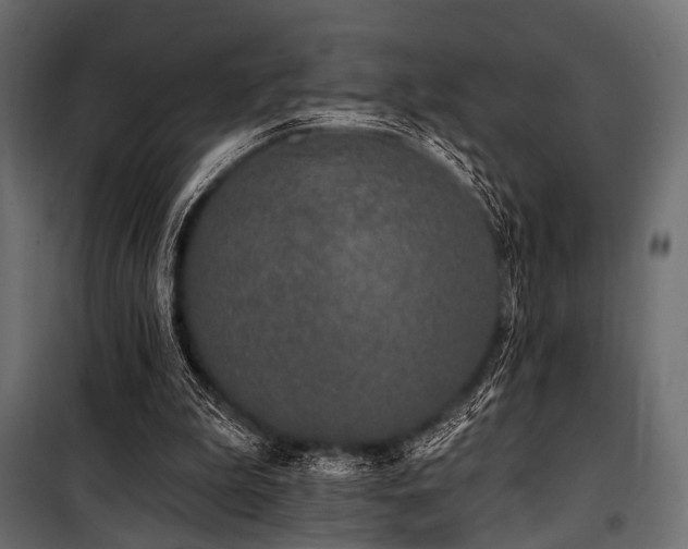 X0000100870199200806201249