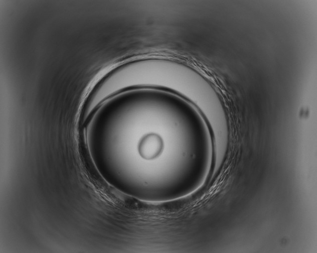 X0000100870200200806201249