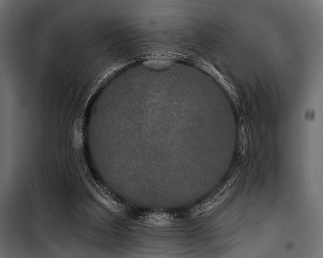 X0000100870203200806201249