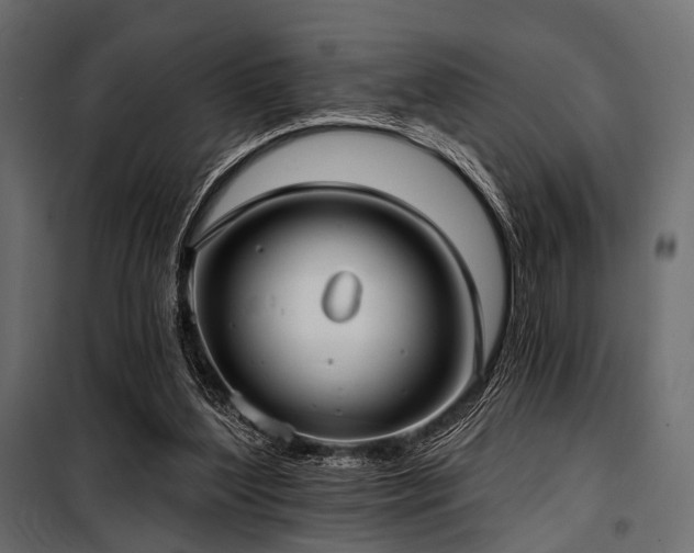 X0000100870204200806201249