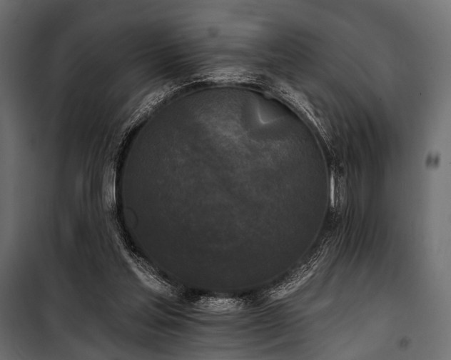 X0000100870205200806201249