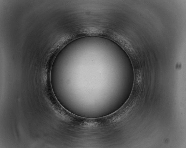 X0000100870206200806201249