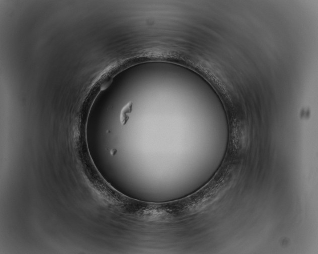 X0000100870208200806201249