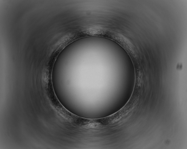 X0000100870210200806201249