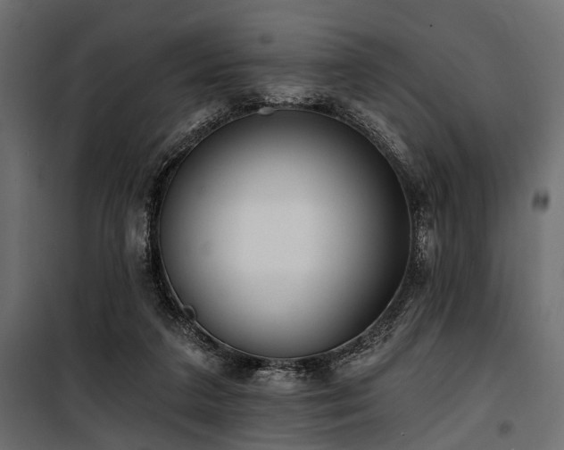 X0000100870211200806201249