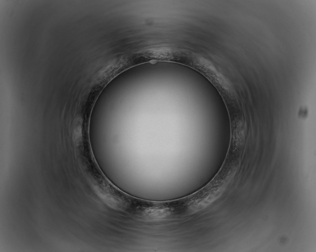 X0000100870213200806201249