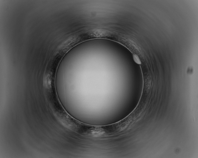 X0000100870214200806201249