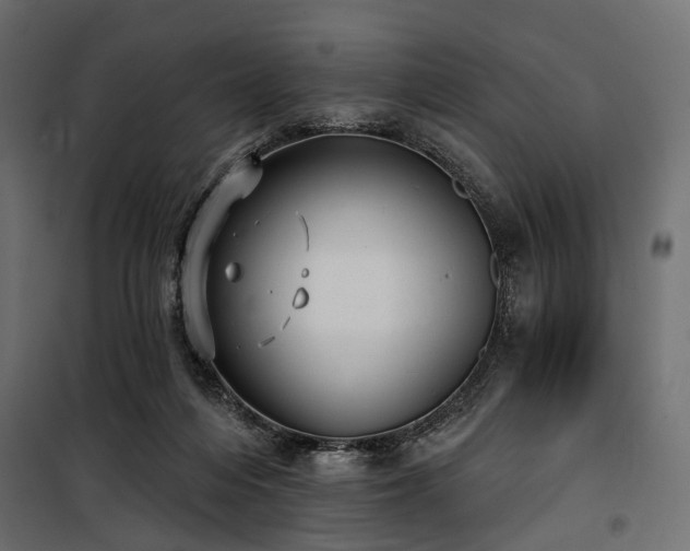 X0000100870216200806201248