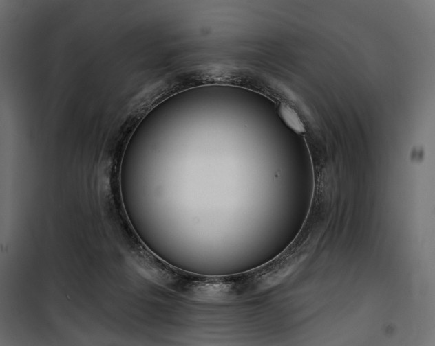 X0000100870217200806201248