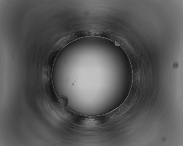 X0000100870218200806201248