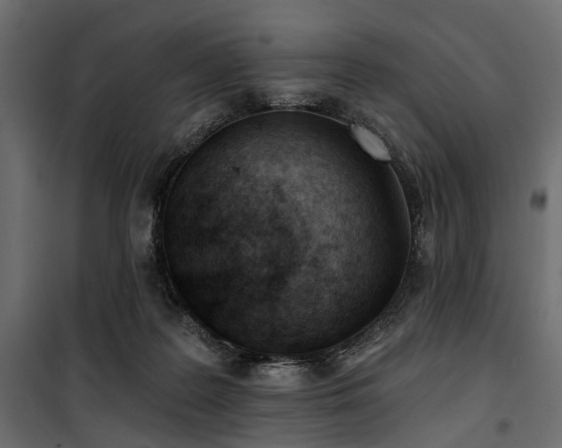 X0000100870219200806201248