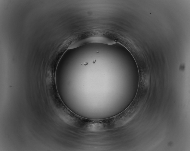 X0000100870220200806201248