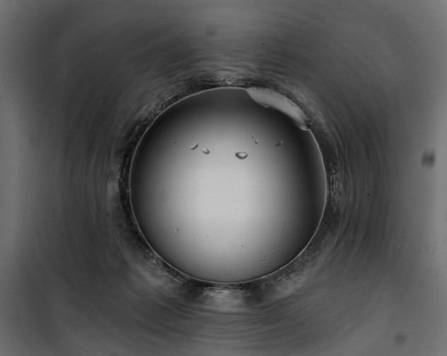 X0000100870221200806201248