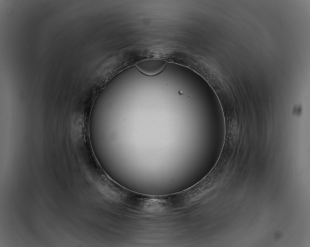 X0000100870222200806201248