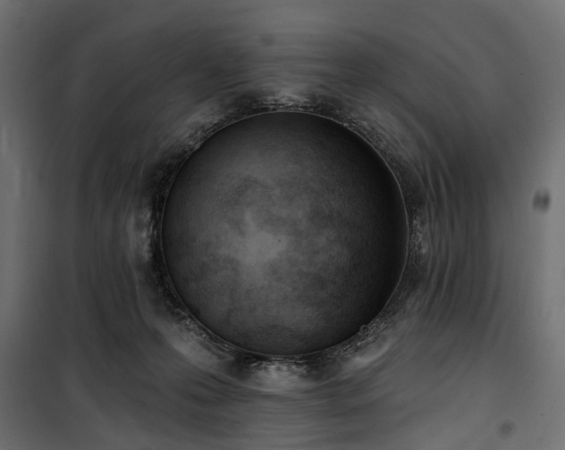 X0000100870223200806201248