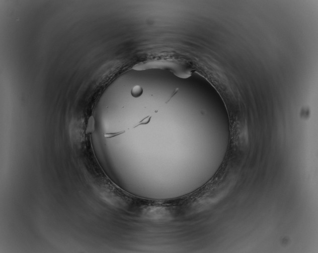 X0000100870224200806201248