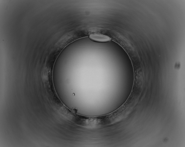 X0000100870225200806201248