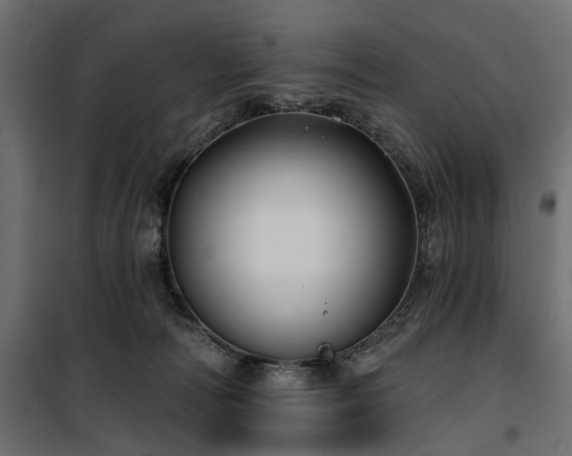 X0000100870226200806201248