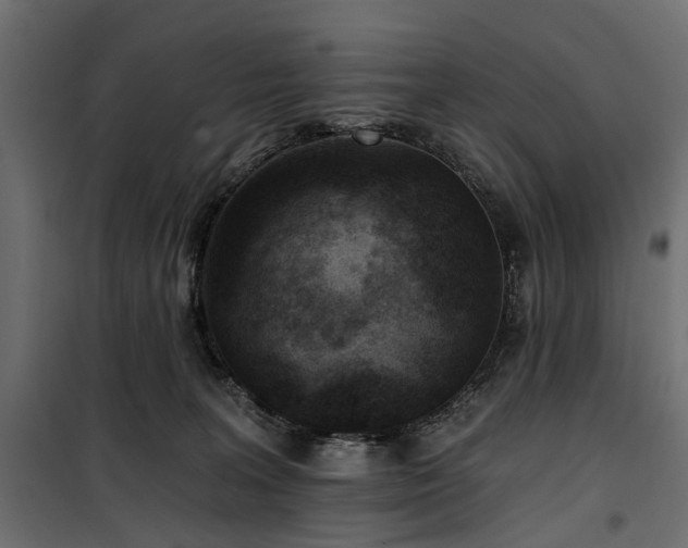 X0000100870227200806201248