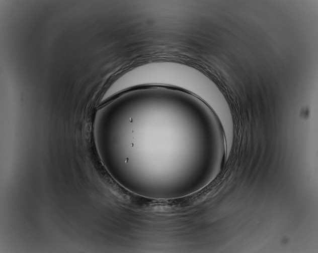 X0000100870228200806201248