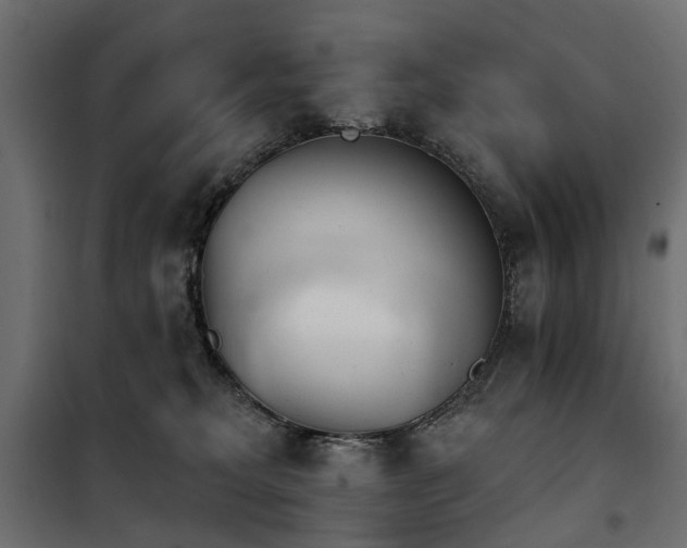 X0000100870229200806201248