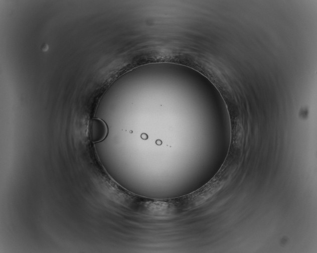 X0000100870230200806201248