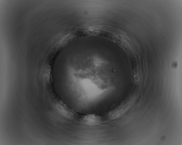 X0000100870231200806201248