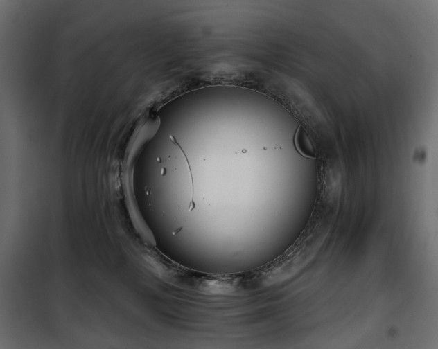 X0000100870232200806201248