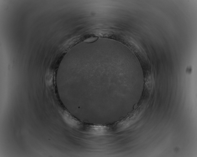 X0000100870233200806201248