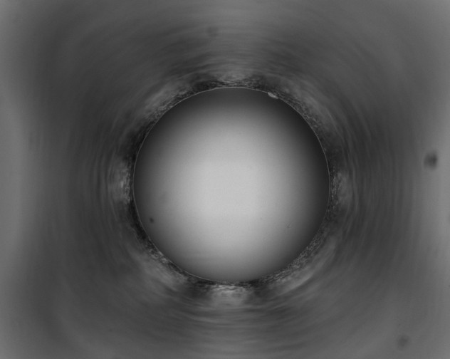 X0000100870234200806201248