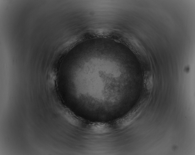 X0000100870235200806201248