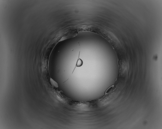 X0000100870236200806201248