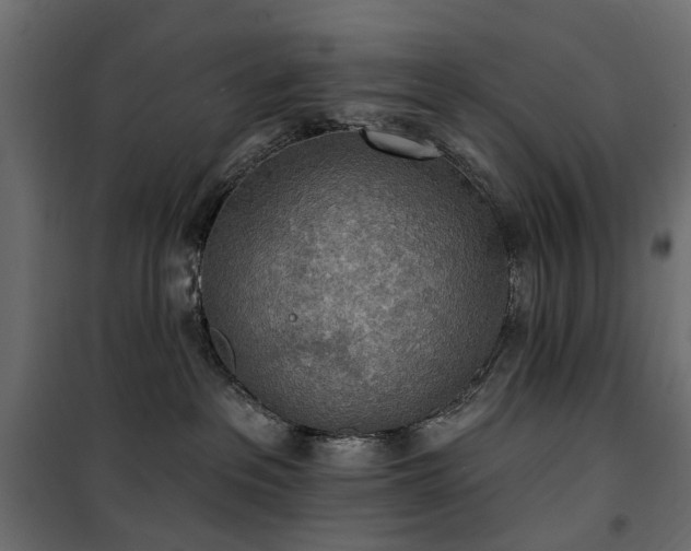 X0000100870237200806201248