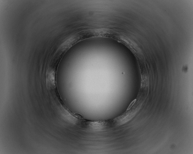 X0000100870238200806201248