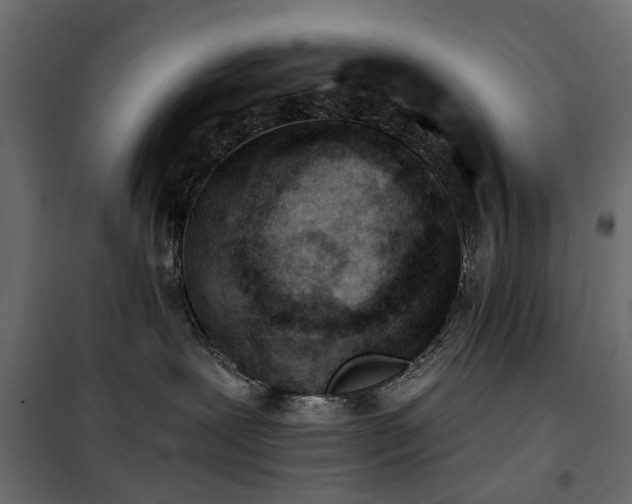 X0000100870239200806201248