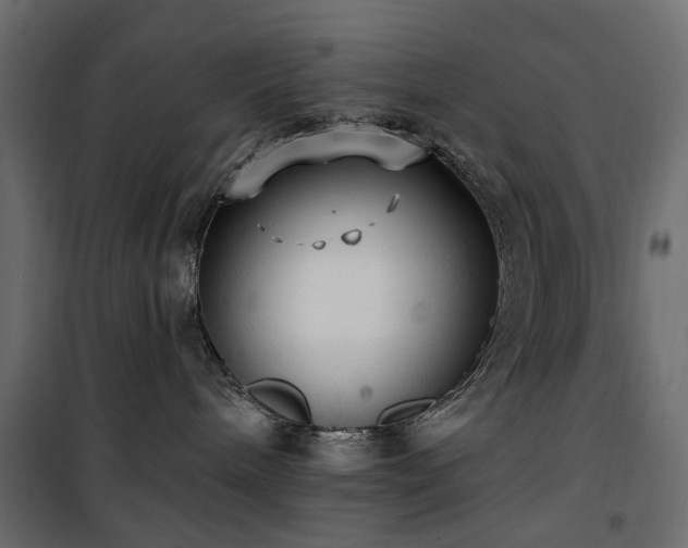 X0000100870240200806201248