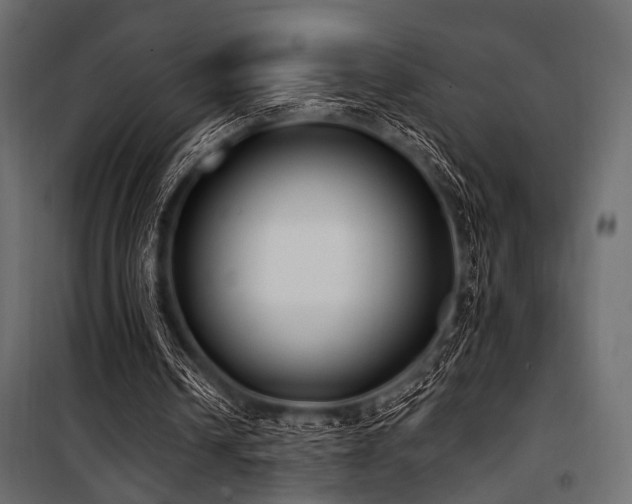 X0000100870242200806201247