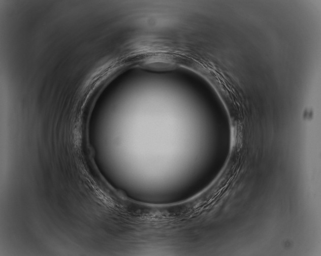 X0000100870243200806201247